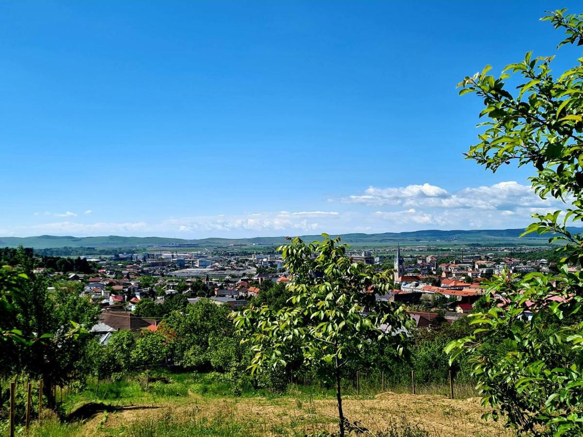 Bella Vista Bungalow Turda Zewnętrze zdjęcie
